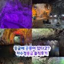 자수정 | <울산>자수정동굴 솔직후기✨️ 보트 타보고 공룡존까지 보고 온 현실 리뷰
