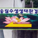 송림조경 Daum카페