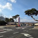 산아래 황칠음식 전문점 | [전남 강진] 강진 갈낙탕 맛집 후기｜국물 진한 갈낙탕 전문점 '황칠코리아 목삼정'