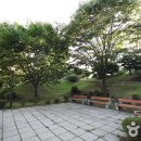 현대원서공원 Daum카페