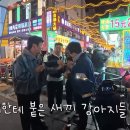 지니어스투어 - 강남구 언주로86길 31 | 지니어스투어
