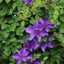 한강시민공원 이미지