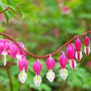 풀빛동산 이미지