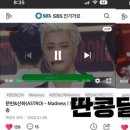 콩모니터링 이미지