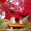 희원(HEEWON)