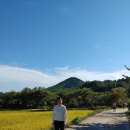 해맞이공인중개사사무소 이미지