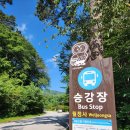 월정사주차장 화장실 이미지