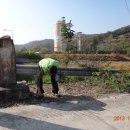 느티나무 일원 이미지