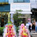 스노우폭스판교 | 판교 테크노밸리 초밥 도시락 전문점 스노우폭스 후기