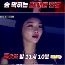 하이나 이미지