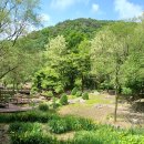 양평쉬자파크 이미지