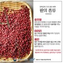 공공씨네 이미지