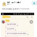 알짱 - 서구 도안북로118번길 86 | 알짱