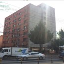 팔레스텔 이미지