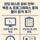 백준 | 코딩 테스트 준비 전략: 백준 & 프로그래머스 문제 풀이 합격 후기