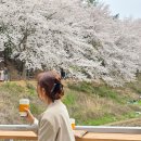 꽃피는 봄이 오면 이미지