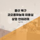 코오롱미용실 이미지