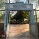 여미지식물원 | [제주도 여행] 너무 추운 날 가기 좋은 실내 코스, 여미지 식물원 내돈내산 후기