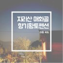 매화골향기 이미지