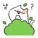 파레타(PALETA) 이미지