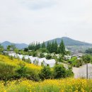 진거리농원 이미지