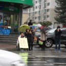 내서농협 앞 이미지