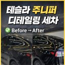 티나세차