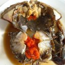 새마을공원길L | 서현 맛집 추천 | 안집 간장게장 포장 후기(내돈내산·분당 간장게장 맛집·한약 간장게장·분당 노포...