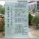 뜨락 이미지