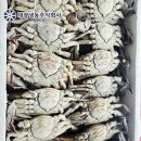 태광냉동