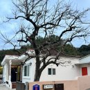 유등리 | 창원숙소 ㅣ 창원 대산면 [남산댁] 촌캉스 숙소 솔직추천후기