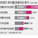 알린