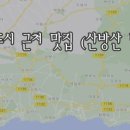 제주 아줌마집 네이버블로그