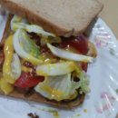 언니네토스트 이미지