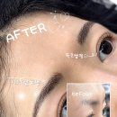 시그노엘 네이버블로그