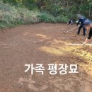 대성장묘 이미지