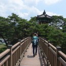 양산팔경 금강둘레길 이미지