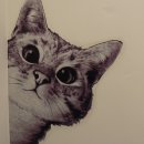 강남-146 이미지