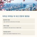 긴고랑로 이미지