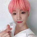 디노 이미지