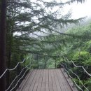 그랜드팜 이미지