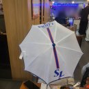 종합운동장_하 | 2025 시즌 두산VS삼성 잠실종합운동장 직관후기
