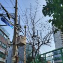 (주)송림조경