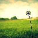 독서지도사 이미지