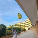 니스카 | 니스 호텔 추천 ! Holiday Inn Resort Nice Port St Laurent By IHG 솔직 후기(4인 투숙기)