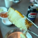 행복한 환경 | [파주] 애견동반카페이자 맛집, 반려견이 행복한 독스테이션 후기