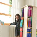 미르안전