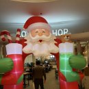 계룡스파텔 | [ 2025. 12. 23. ] 계룡스파텔 대온천탕 후기 / 스터디플러스 유성 충남대점 / 대전 봉명동 쿠우쿠우