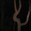 하늘재민박 이미지