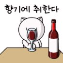 위스키파크샵 이미지